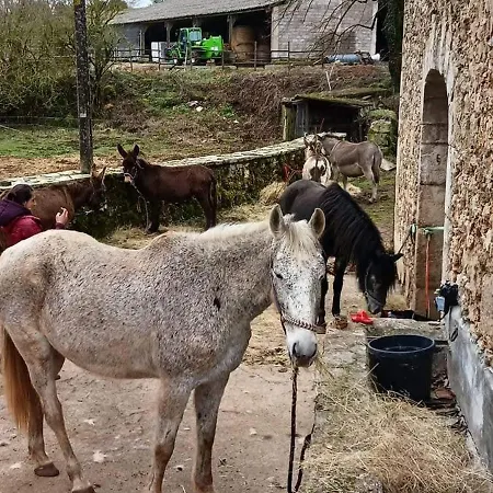Apartment Domaine De Servieres - Duplex